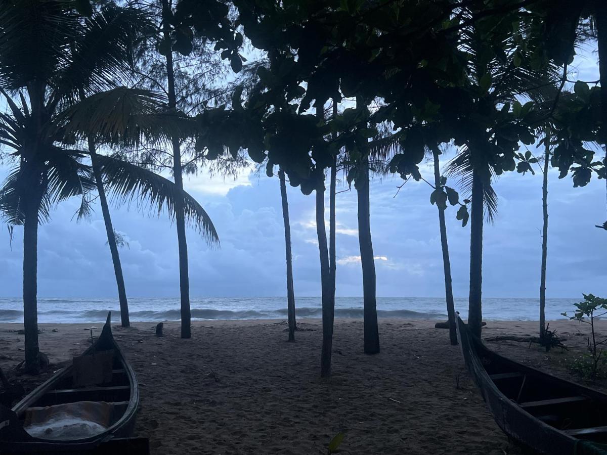 Cherai Beach Retreat Exteriör bild