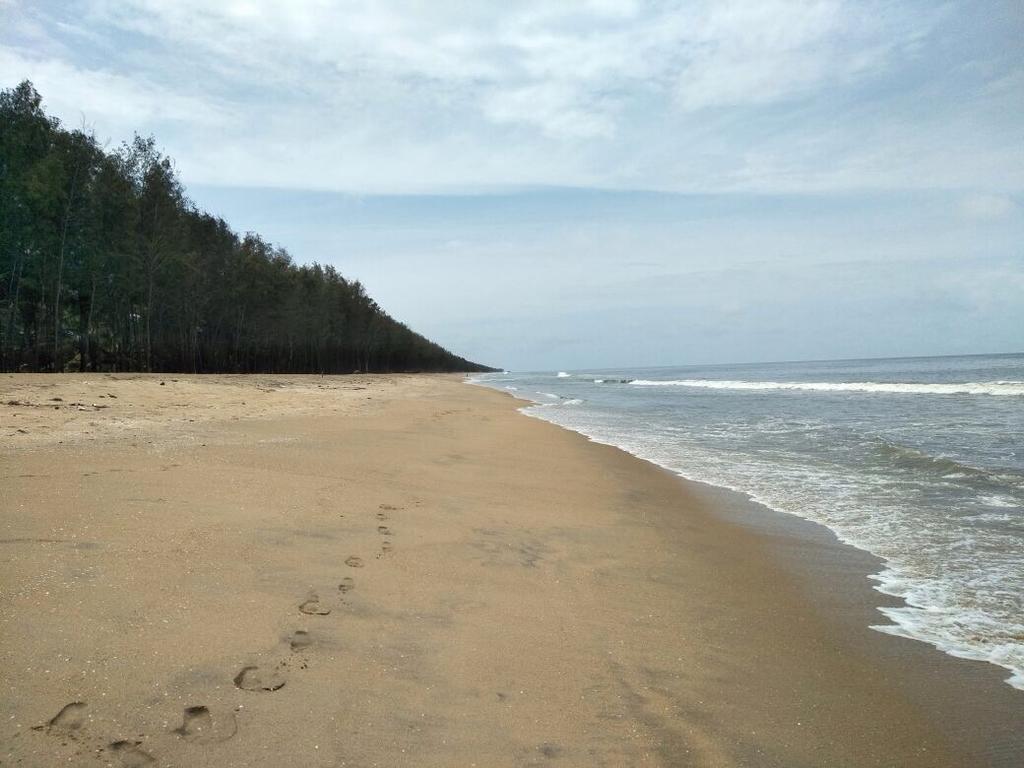 Cherai Beach Retreat Exteriör bild